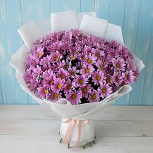 Букет цветов из:  Хризантемы в Туме