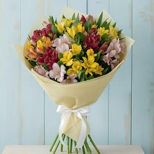 Букет цветов из:  Альстромерии в Туме